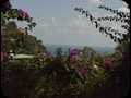 pp42 capri gardens