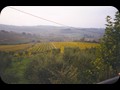 t021 tuscan countryside by winery